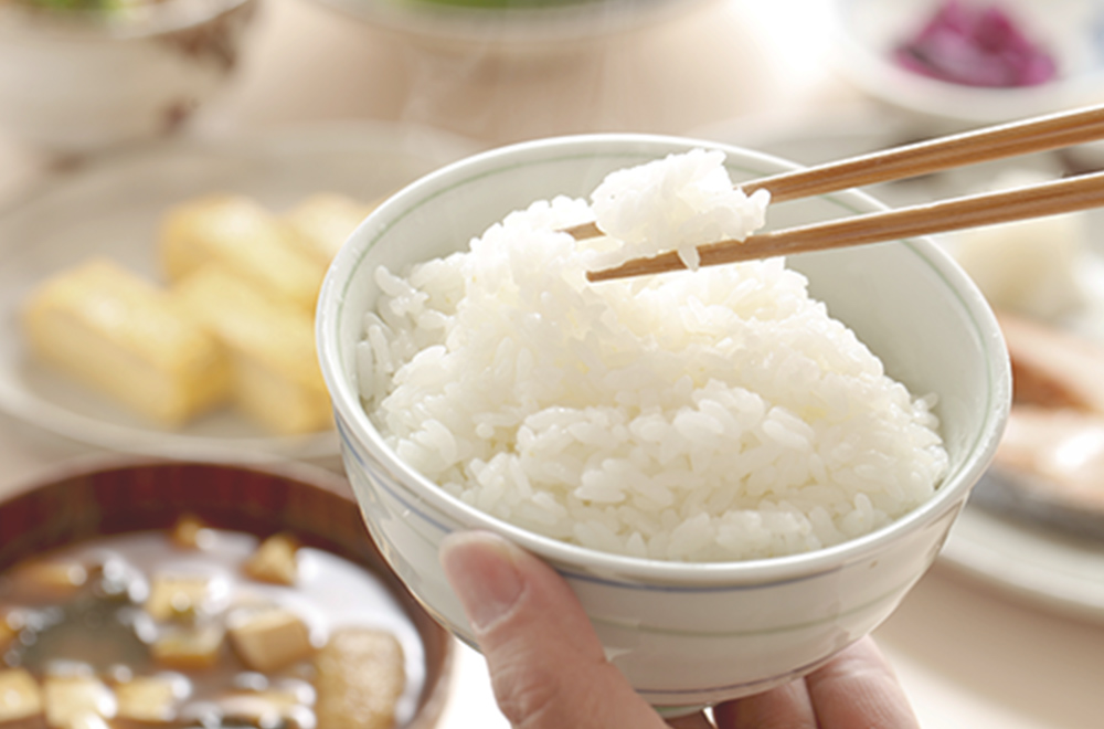 ご飯の写真